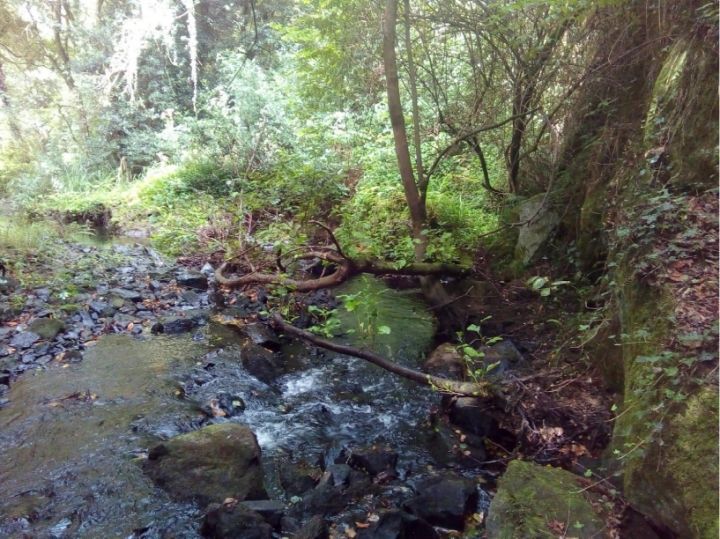 Arines Obras y Proyectos, S.L., realiza los trabajos limpieza de los ríos Sar y Sarela en su transcurrir por el Concello de Santiago