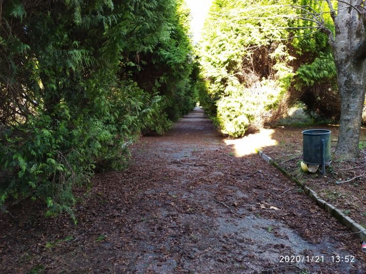 La Xunta adjudica a Arines la Obra de creación del Bosque de Camelias